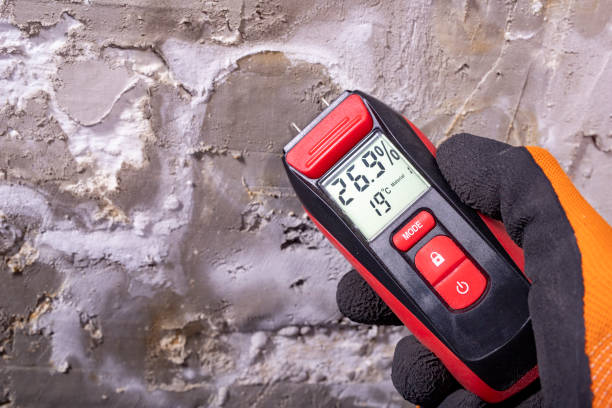 Best Residential Mold Remediation in Lackland Af, TX