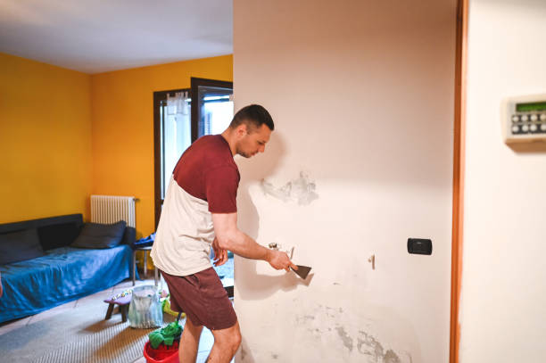 Best Commercial Mold Remediation in Lackland Af, TX