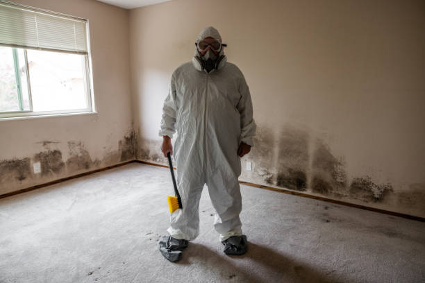 Best Residential Mold Remediation in Lackland Af, TX